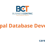 Principal Database Developer